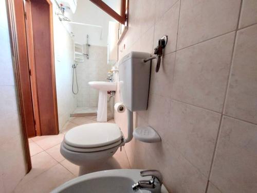 5626_img20241109wa0026002