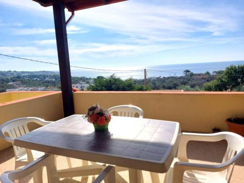 5626_img20241109wa0029001