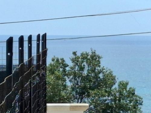 5630_img20250428wa0055001