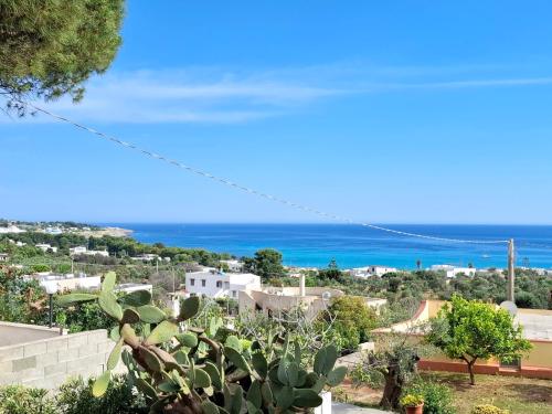 casavaleria116