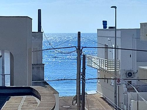 img-20230125-wa0016-001