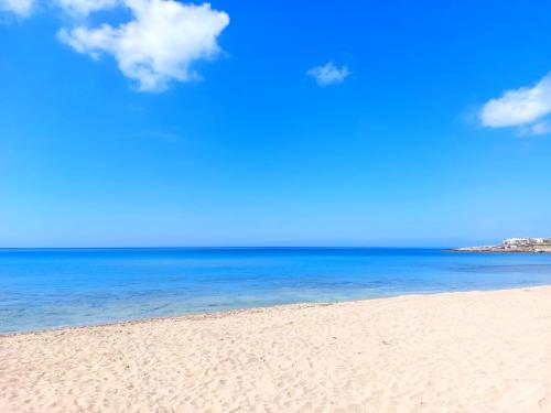 img-20230601-wa0049-001