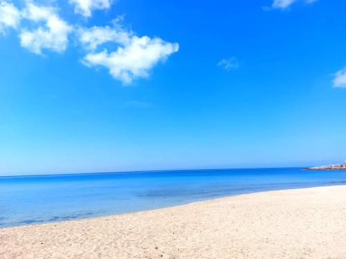 img-20230601-wa0050-001