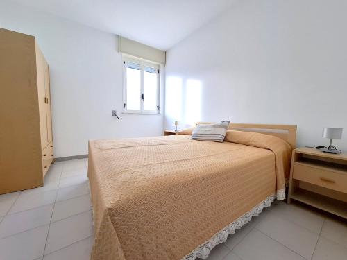 whatsapp_image_2026-02-013