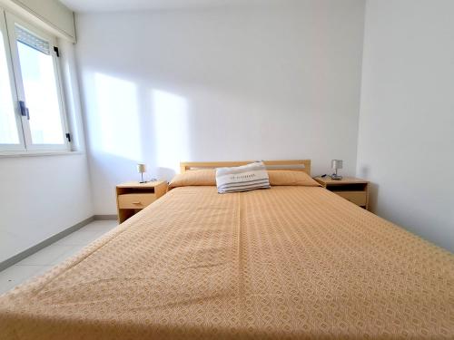 whatsapp_image_2026-02-014