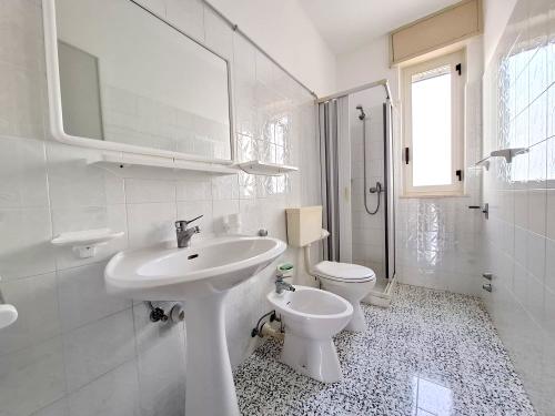 whatsapp_image_2026-02-019