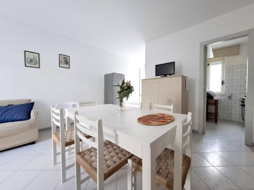 whatsapp_image_2026-02-020